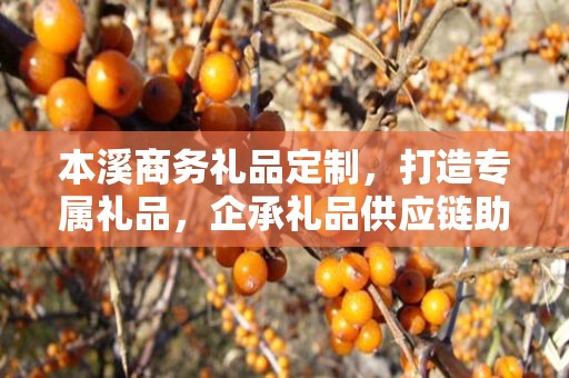 本溪商务礼品定制，打造专属礼品，企承礼品供应链助力商务往来