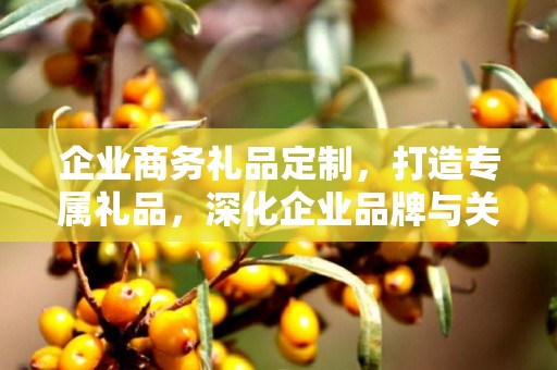 企业商务礼品定制，打造专属礼品，深化企业品牌与关系网络