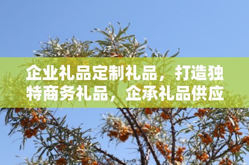 企业礼品定制礼品，打造独特商务礼品，企承礼品供应链为您助力